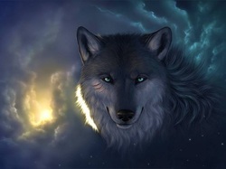 scar wolf lobo ferido wallpaper desenho