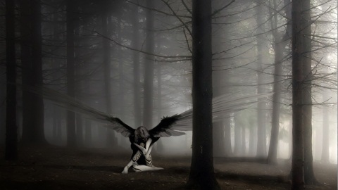dark gothic angel demon anjo sombrio floresta forest