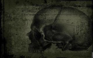 caveira wallpaper skull plano-de-fundo imagem